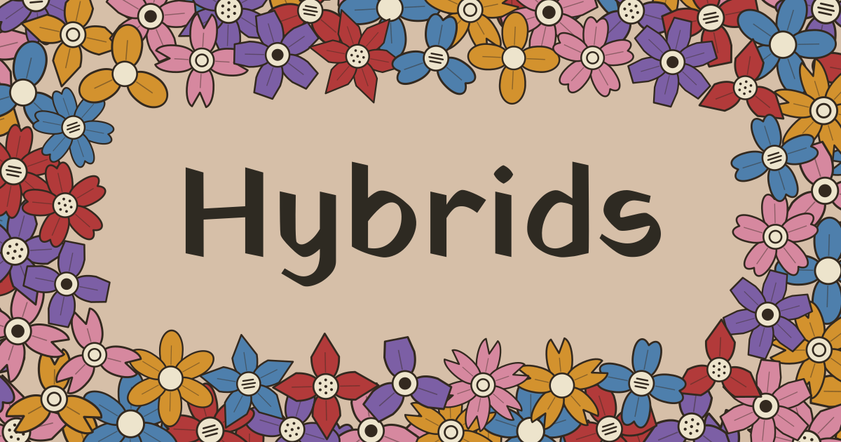 hybrids.rudyp.dev image